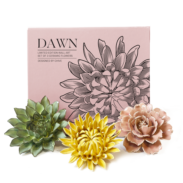 ceramic succulent wall art Chive Ceramic Faux Succulents - Flower Gift Box Sets – Greenleaf Gallery